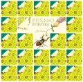 Trnka Jiří: Zvířátka – pexeso
