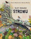 : Život spadlého stromu