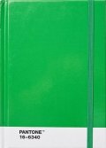 neuveden: Pantone Zápisník tečkovaný S - Green 16-6340