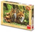 neuveden: Puzzle Liška s mláďátkem 300 XL dílků