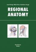 kolektiv autorů: Regional anatomy