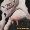 Aerosmith: Aerosmith: Get A Grip - 2LP