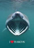neuveden: Pohlednice 3D Miluj plankton