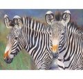 neuveden: Royal Langnickel Malování podle čísel - zebry