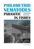 Moravec František: Philometrid nematodes parasitic in fishes