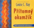 Hay Louise L.: Přítomný okamžik - 365 denních afirmací