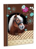 neuveden: Školní desky na abecedu - Sweet Horse