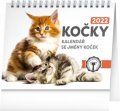 neuveden: Kalendář 2022 stolní: Kočky – se jmény koček, 16,5 × 13 cm