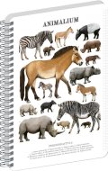 : Spirálový blok Animalium - Lichokopytníci, čtverečkovaný, A4