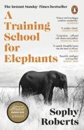 : Training School for Elephants